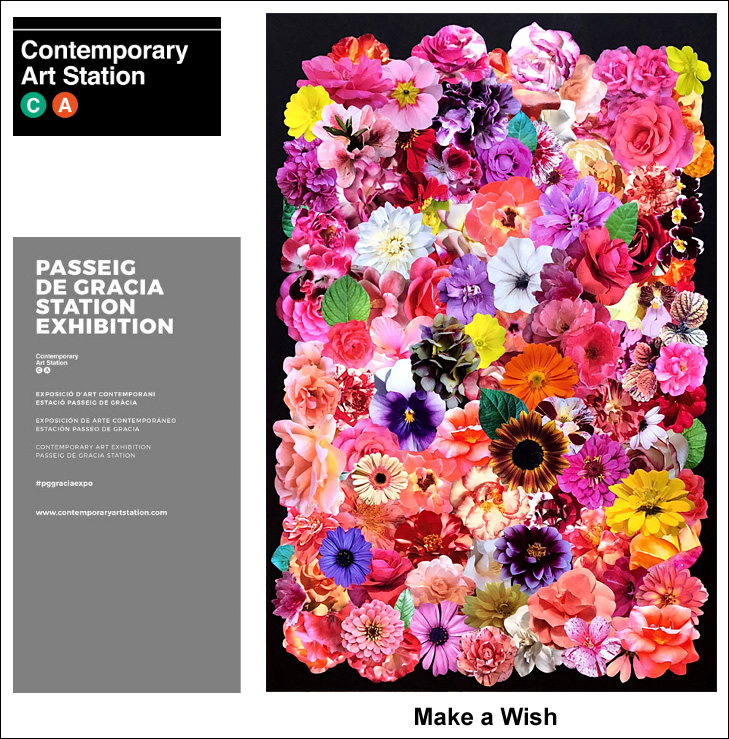 Make-A-Wish Make-A-Wish