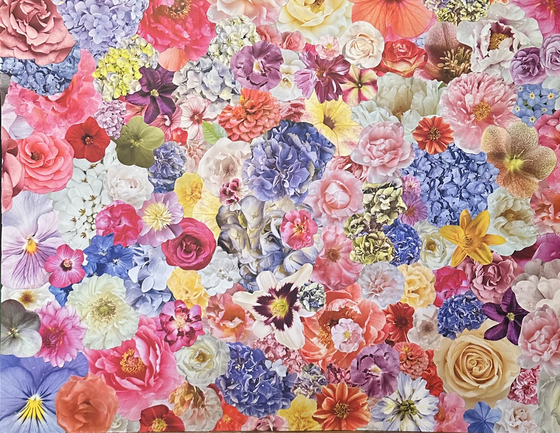 My Best Life My Best Life