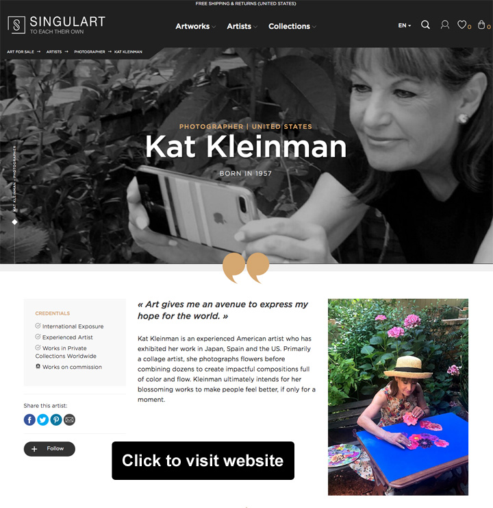 Singulart Singulart