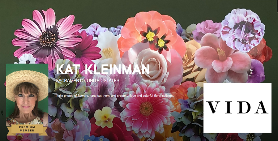 Vida-Screen Vida-Screen