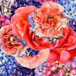 hydrangeas-with-roses