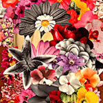 something-for-everyone