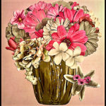 somewhere-in-between