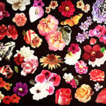 the-butterfly-garden