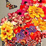 the-little-butterfly