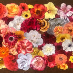 the-vitality-of-flowers