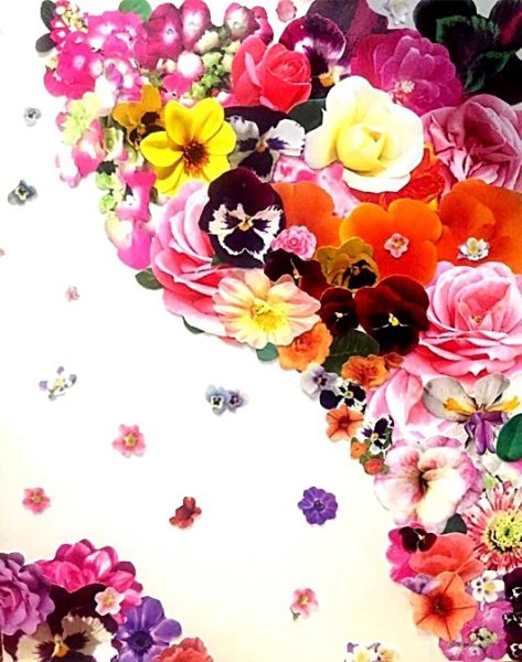 The River - An Aerial View