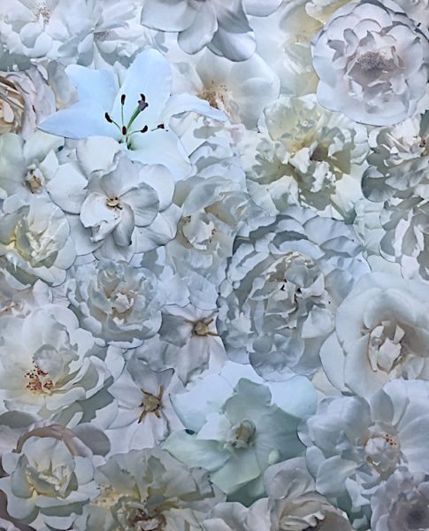 flowers-like-frosting