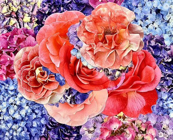 hydrangeas-with-roses