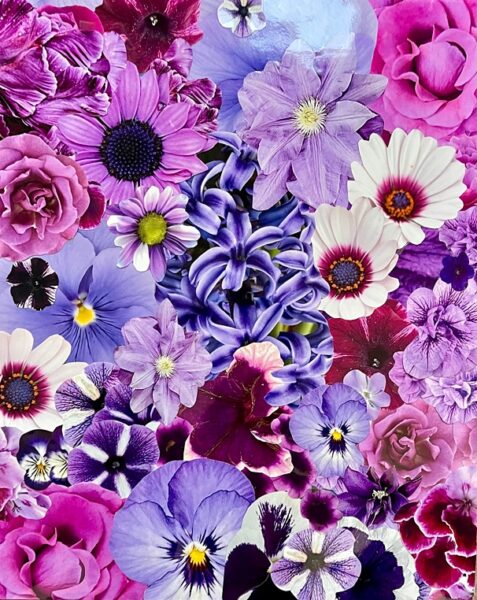 purple-is-my-favorite-color