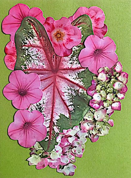 leaf-wearing-pink-green