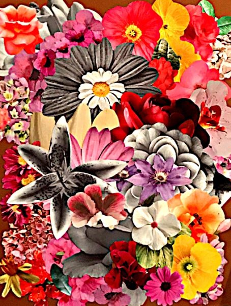 something-for-everyone