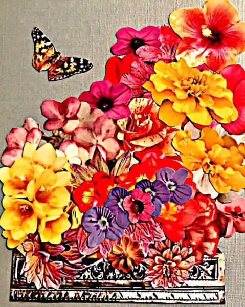 the-little-butterfly