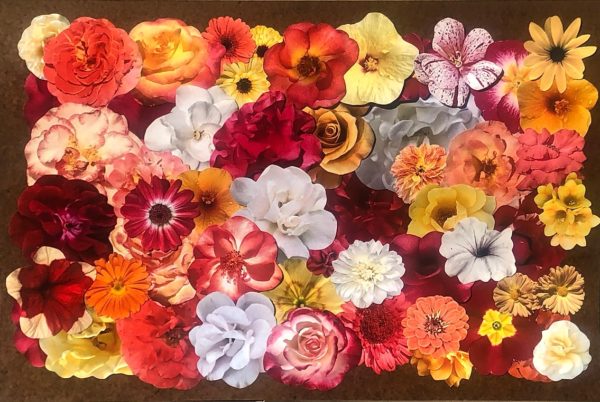 the-vitality-of-flowers